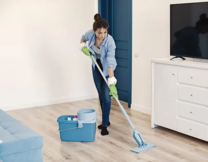 Femme de ménage Saint-Mariens